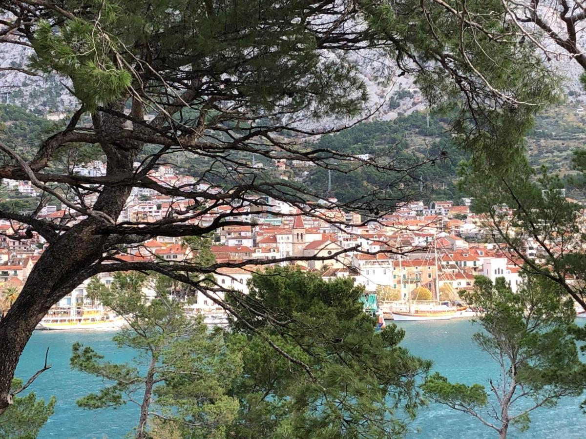 Apartments Drago Μακάρσκα Εξωτερικό φωτογραφία